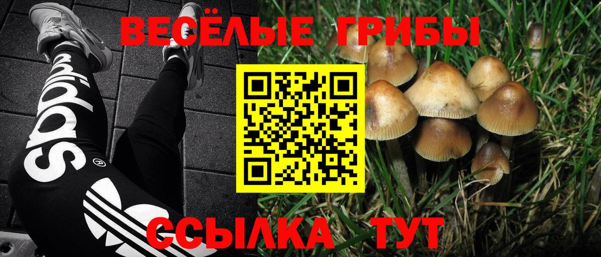 Галлюциногенные грибы мицелий  Галлюциногенные грибы Magic Shrooms  Ртищево  Вход с VPN 